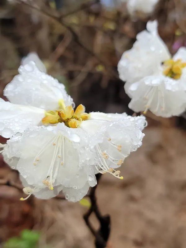 기계시장 사진 3