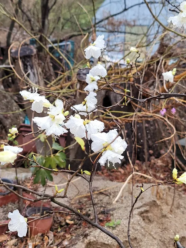 기계시장 사진 4