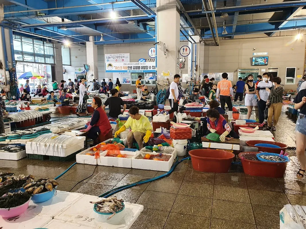 죽도시장 사진 4