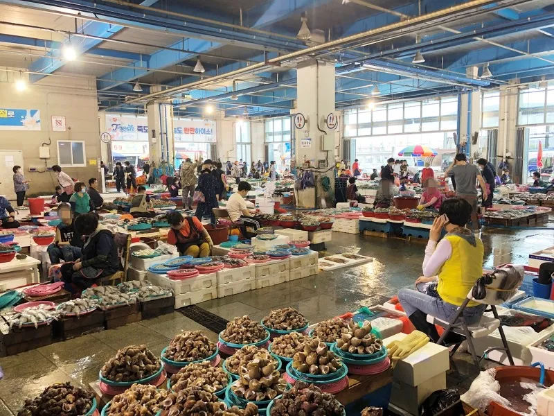 한라종합시장 사진 2