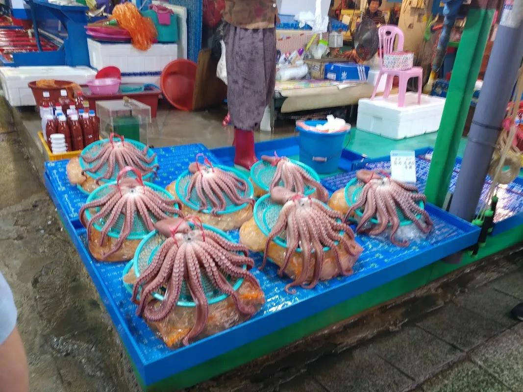 한라종합시장 사진 5