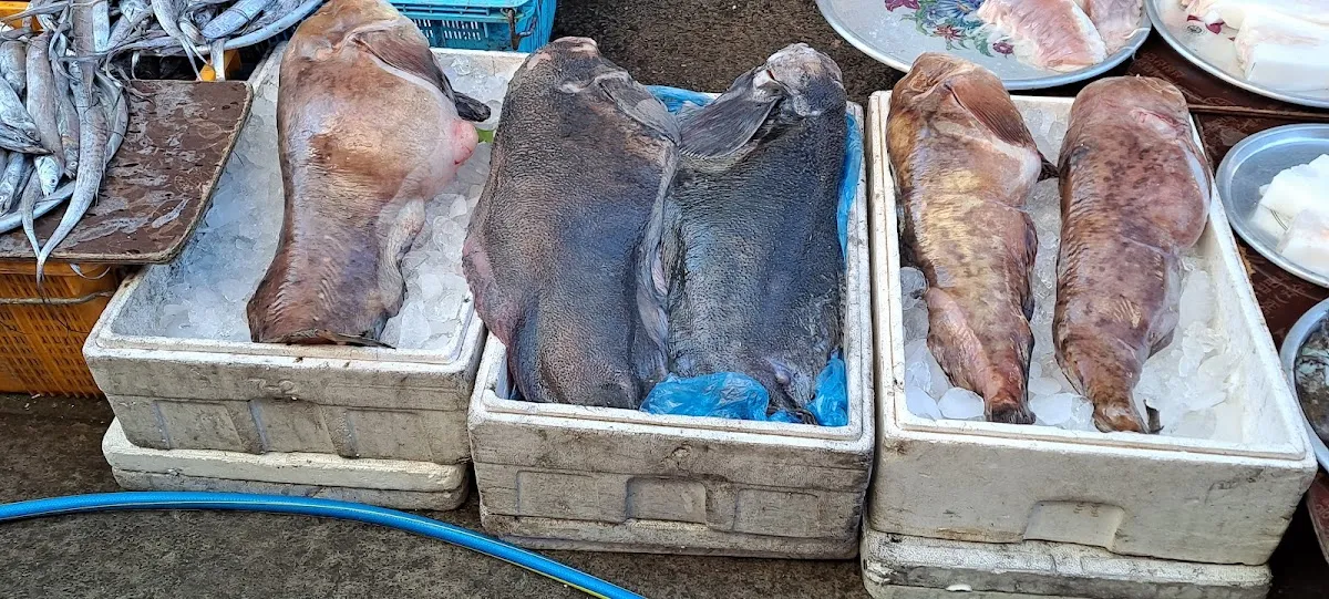 흥해시장 사진 5