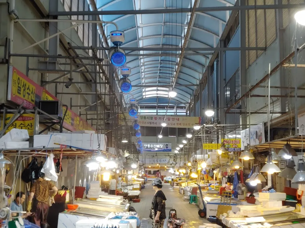 양동복개상가 사진 3