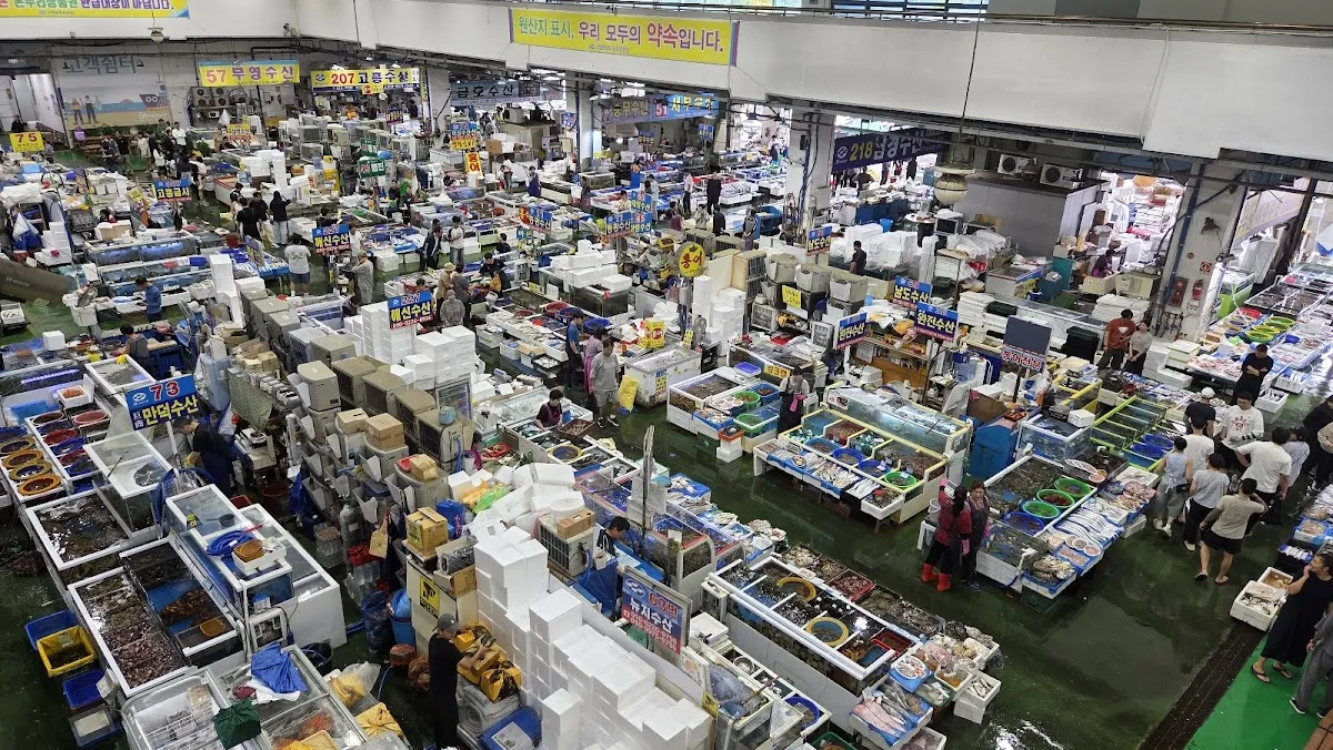 화정동서부시장 사진 5