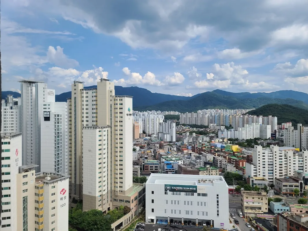 대구예전우시장 사진 5