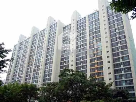 보성은하상가 사진 2