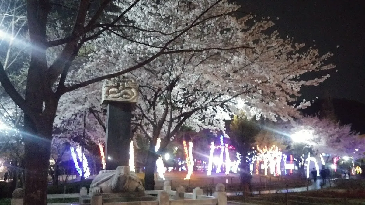 성서보성화성상가 사진 3