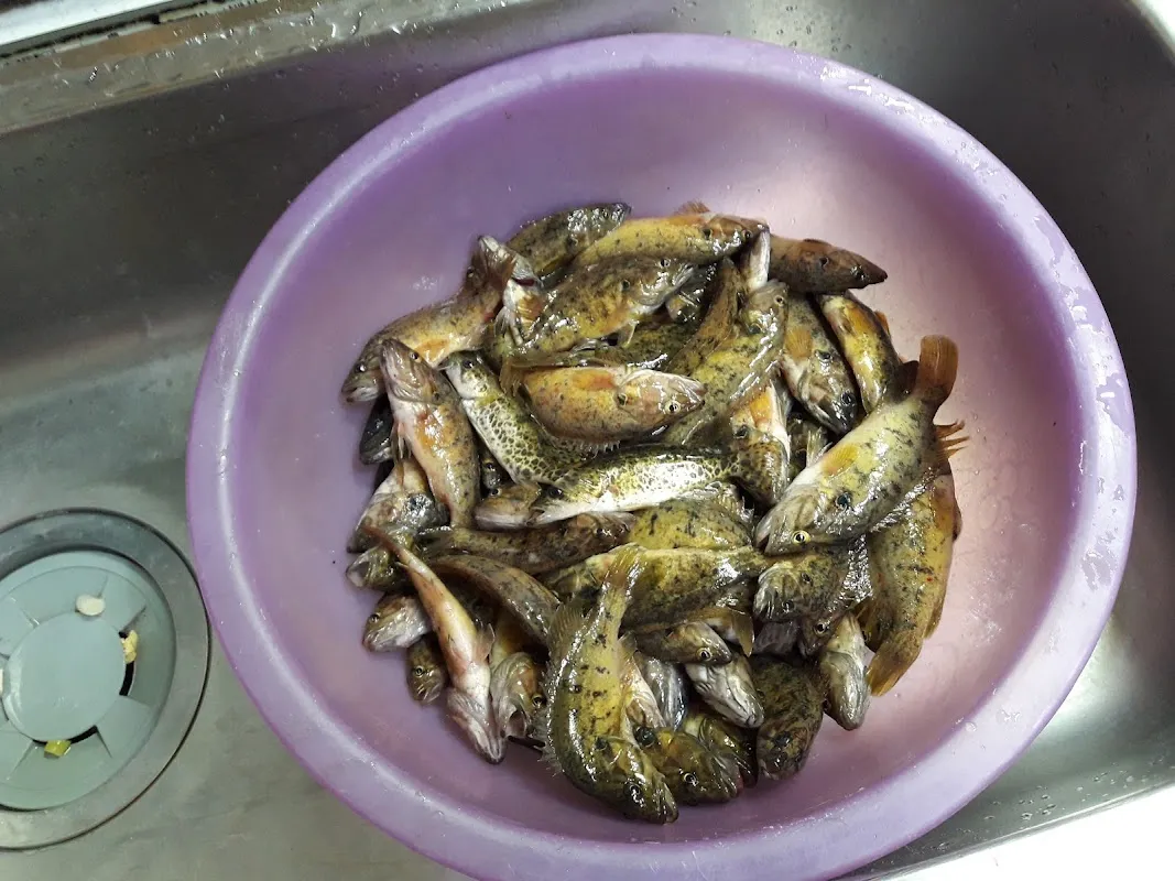 월성청구시장 전경