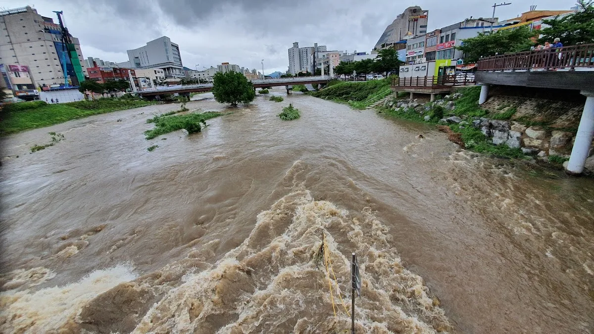 신중앙시장 사진 4