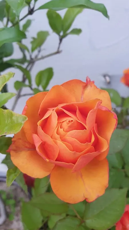 금사제일상가시장 사진 2