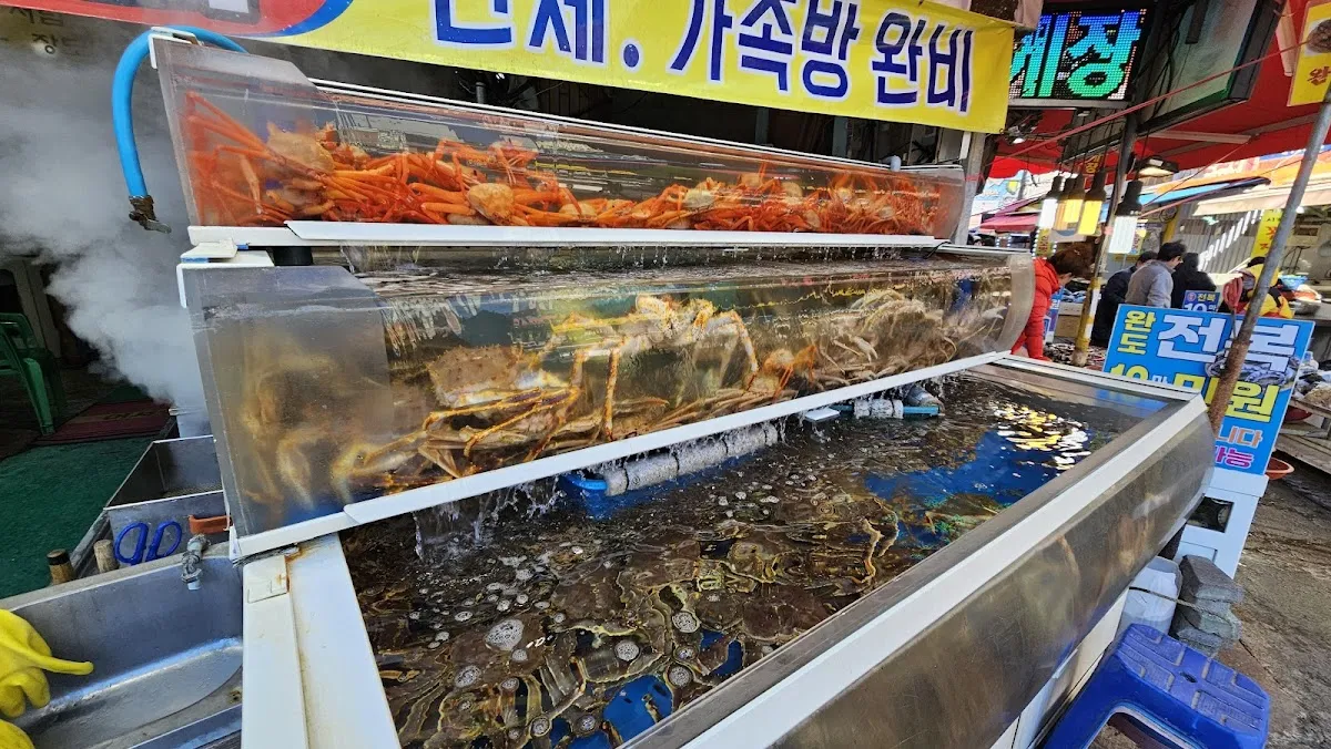 기장시장 사진 2