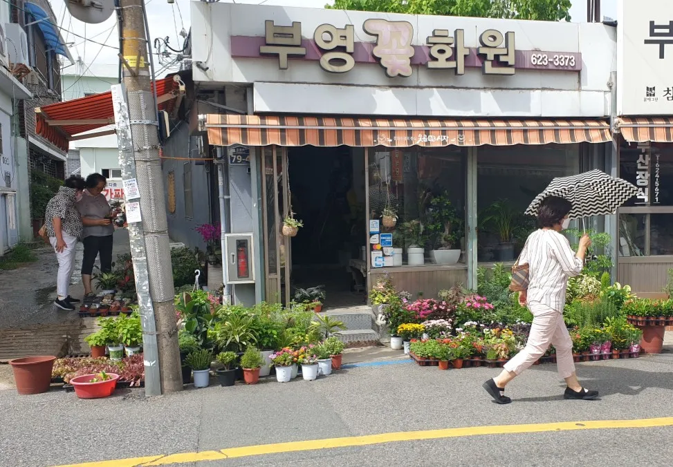 못골골목시장 전경