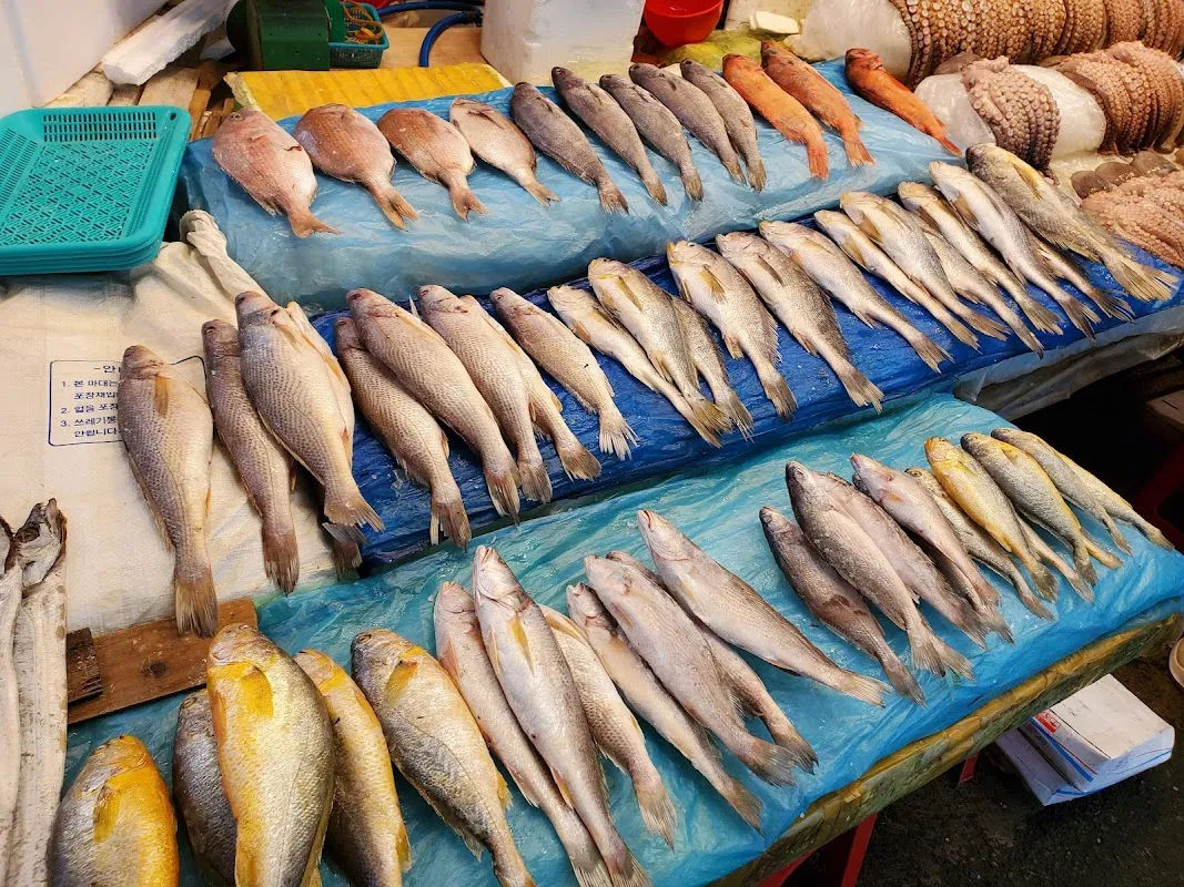 부전인삼시장 사진 5