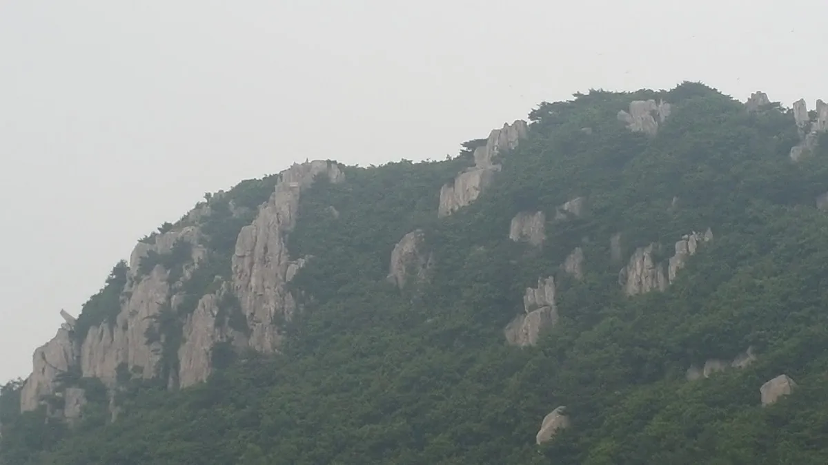 만덕2동제일상가시장 사진 4