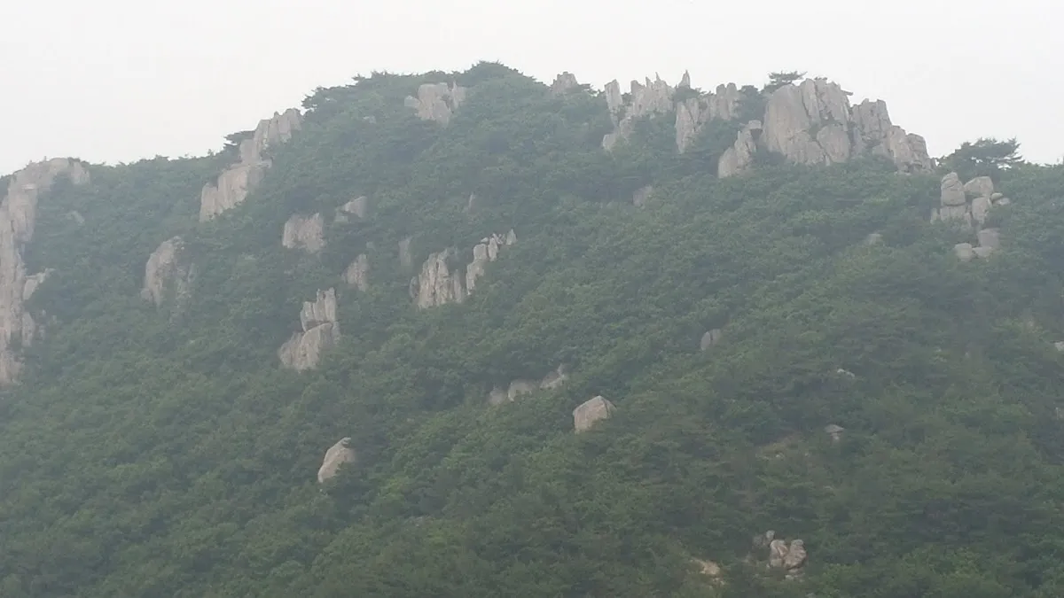 만덕시장 사진 5