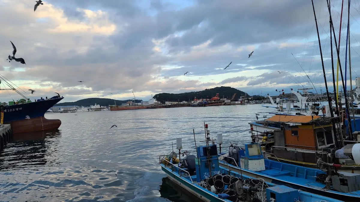 다대씨-파크 사진 3