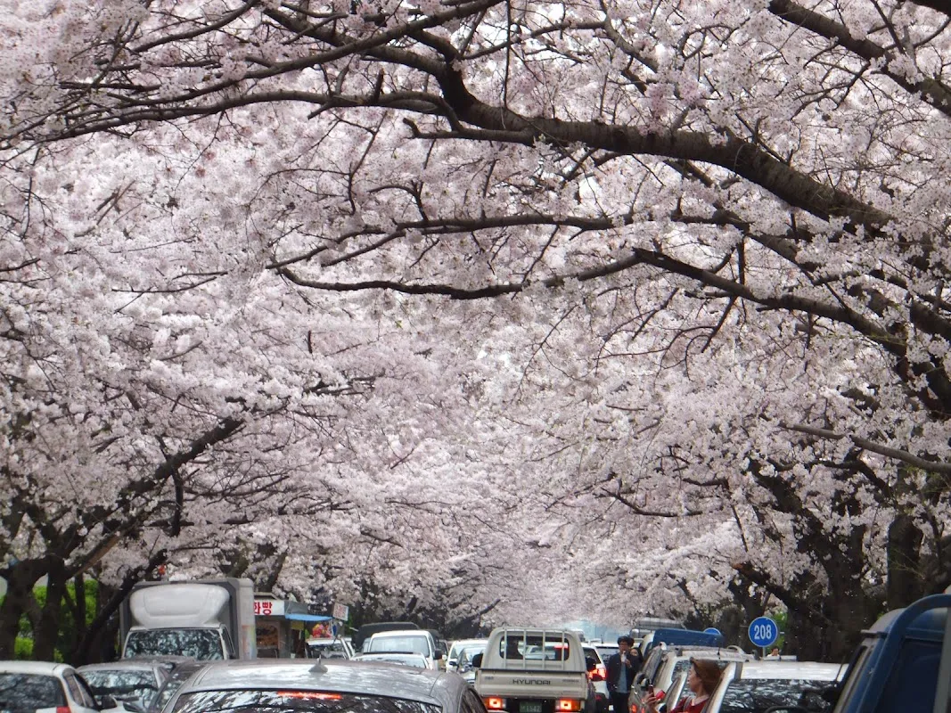 삼익비치A상가시장 전경