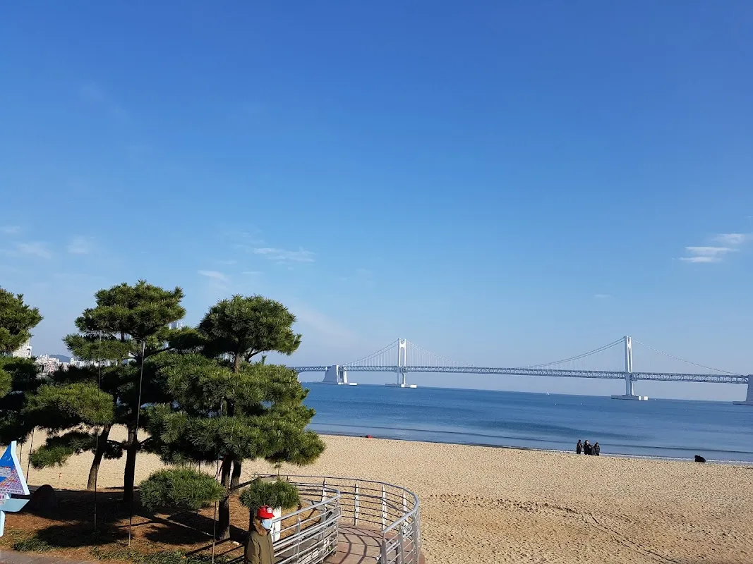 삼익비치B상가시장 사진 5