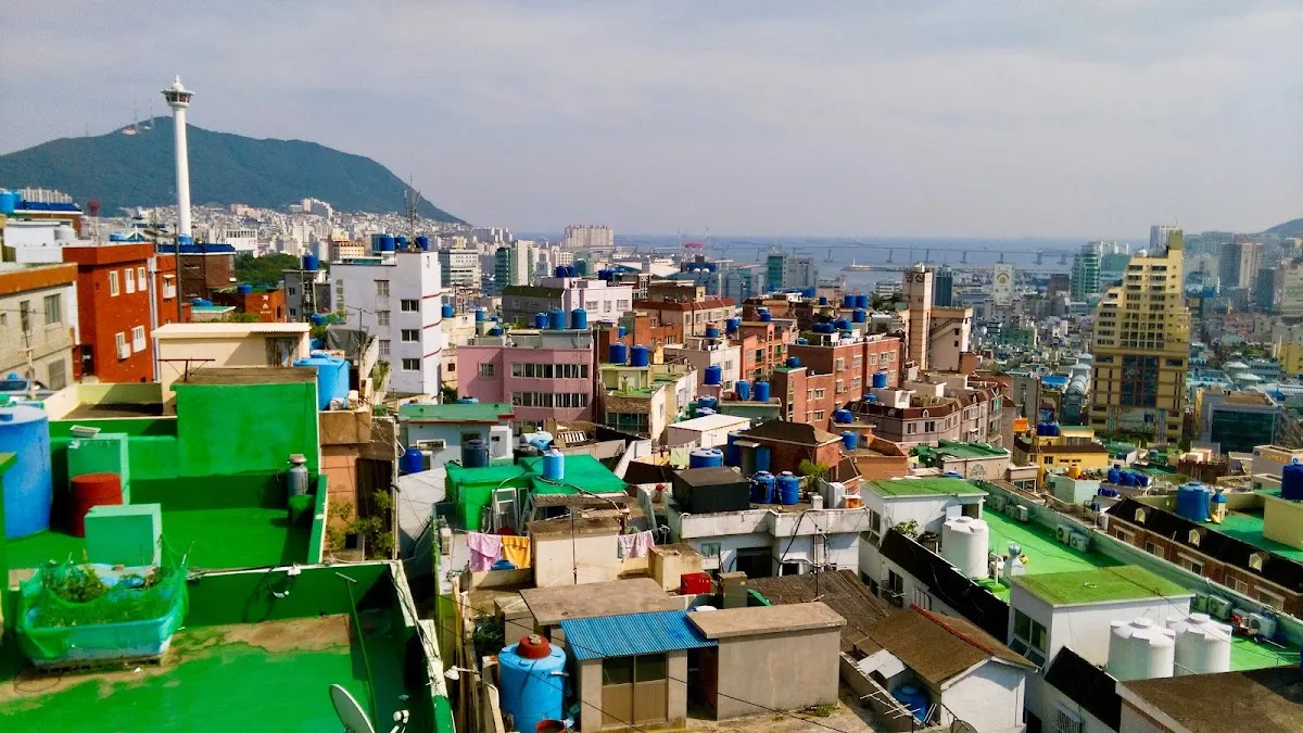 월드밸리 사진 2