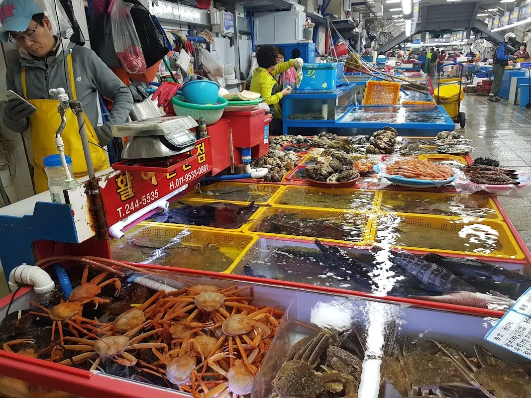 자갈치시장 사진 5