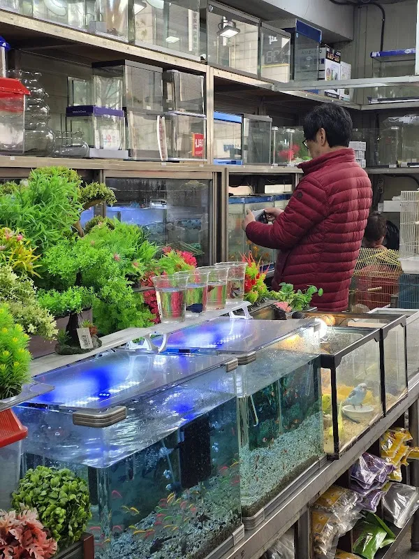 수유재래시장 사진 5