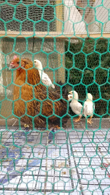 봉천현대시장 사진 3