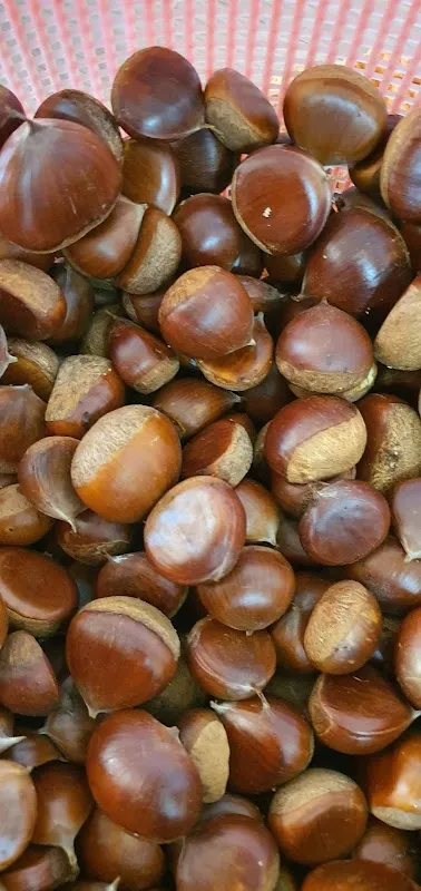 이문제일시장 전경