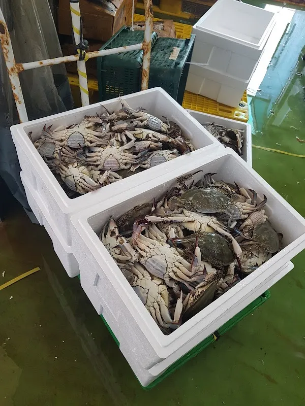 청량리수산시장 사진 3