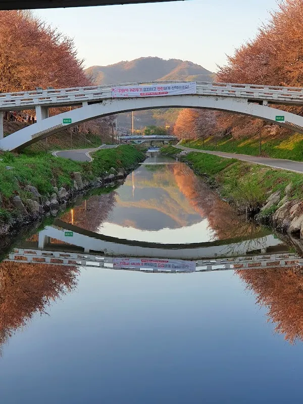 양재시장 사진 4