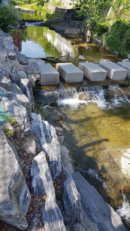 정릉시장 사진 4