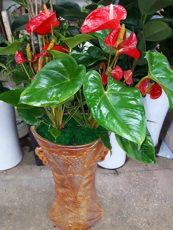 삼구시장 사진 2