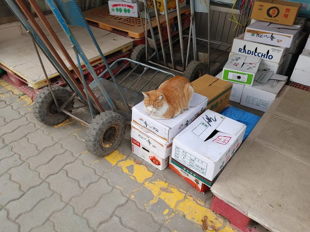 영일시장 사진 4