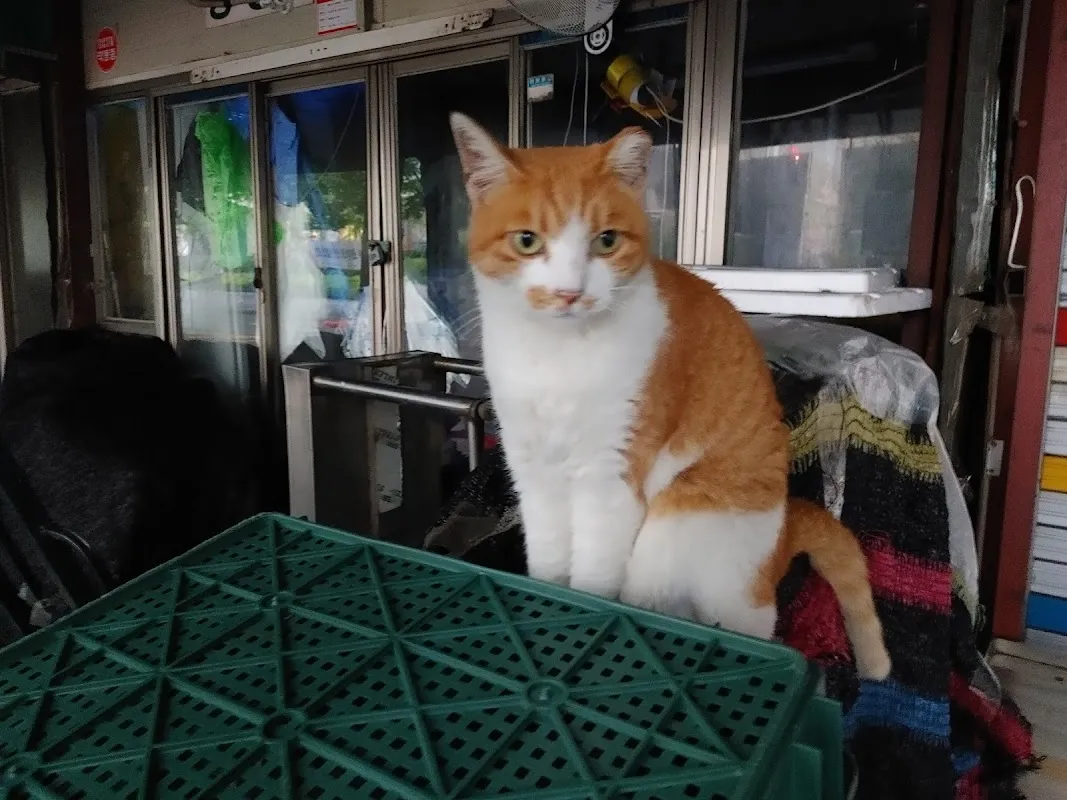 영일시장 사진 5