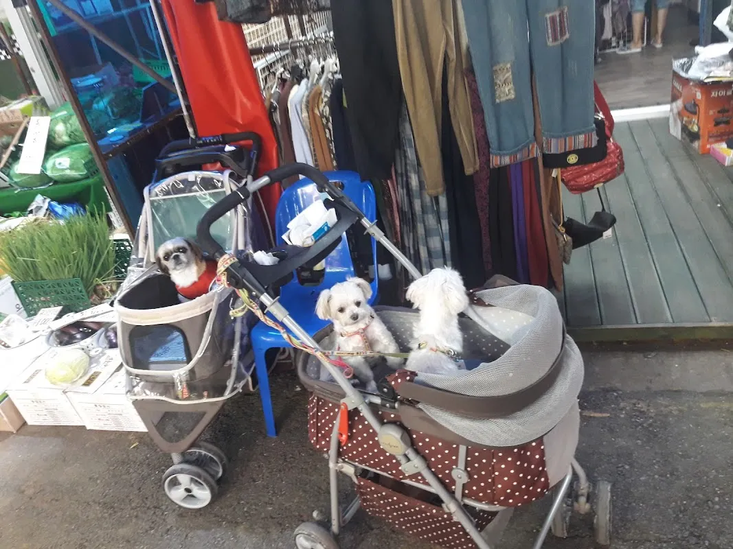 장미제일시장 사진 2