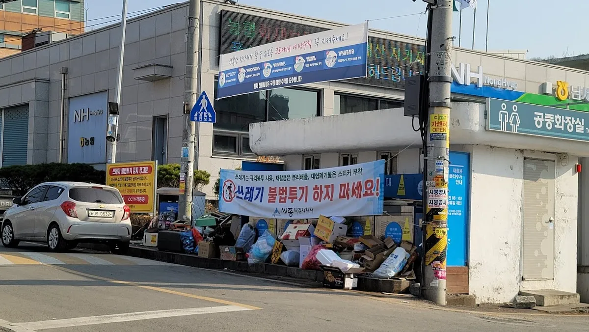 세종대평시장 사진 4