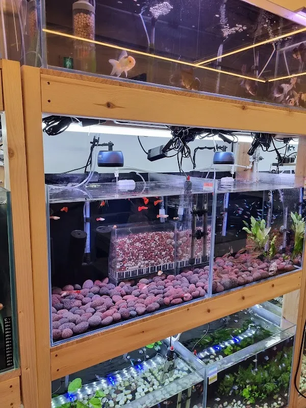 신정평화시장 사진 2