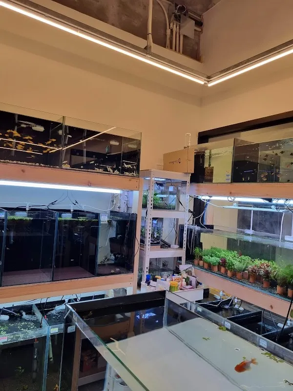 신정평화시장 사진 4