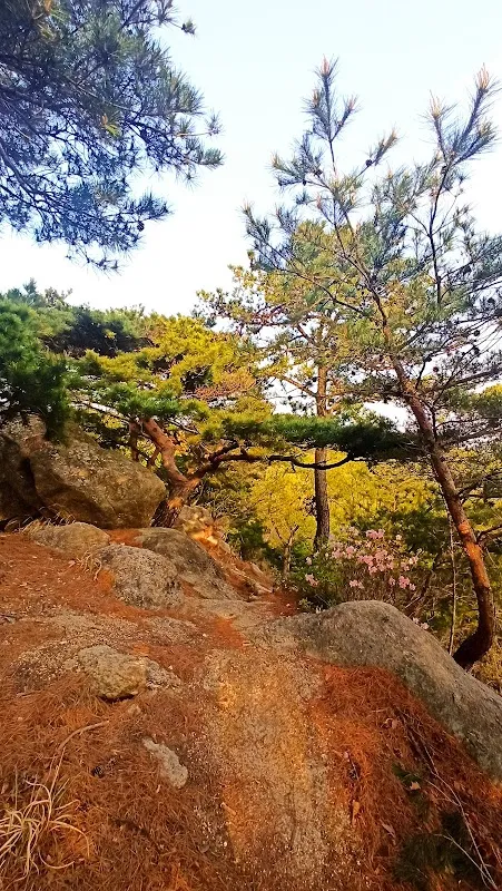 남목마성시장 전경