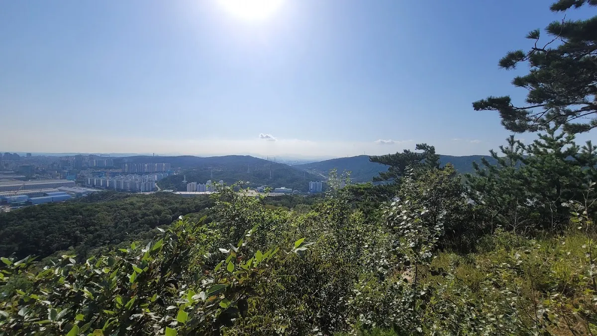 남목마성시장 사진 3