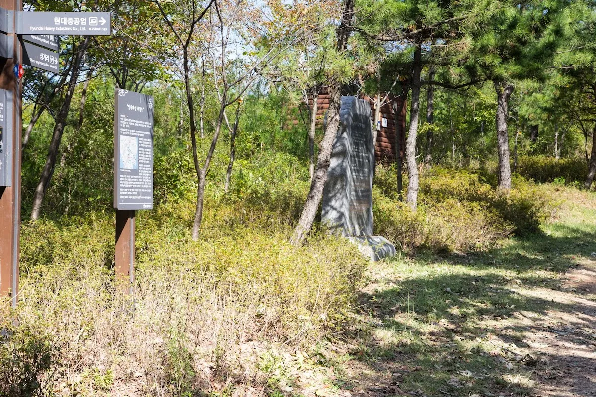 남목마성시장 사진 5