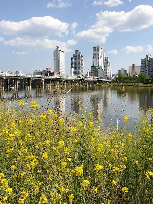 울산시장 사진 3