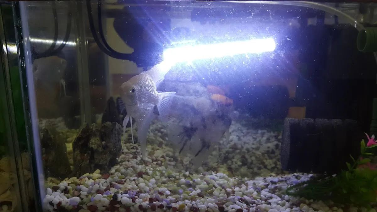 학성종합시장 사진 3