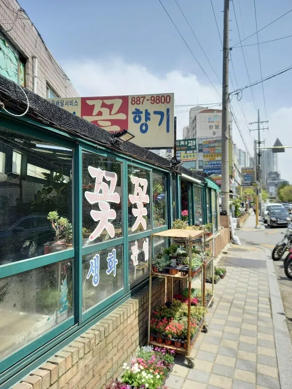 토지금고시장 전경