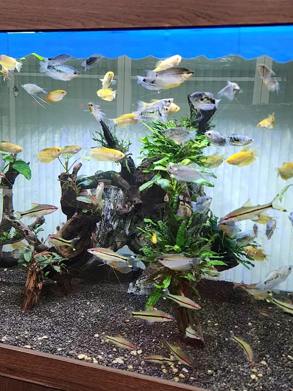 연수송도역전시장 사진 3