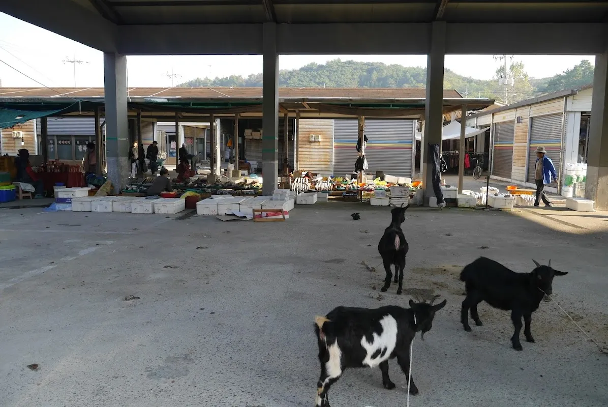 마량5일시장 사진 5