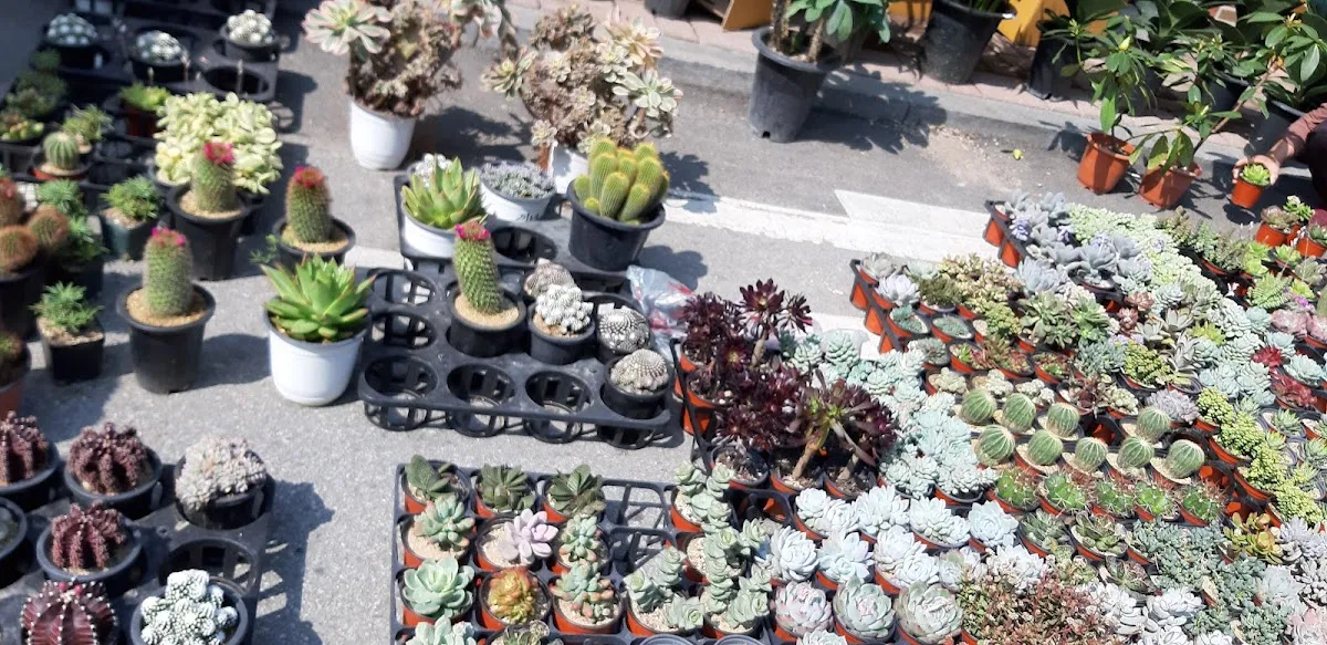 옥과5일시장 사진 3