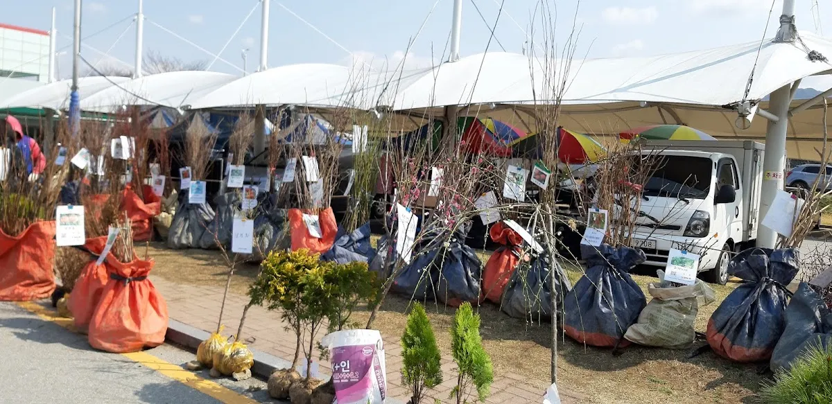 옥과5일시장 사진 5