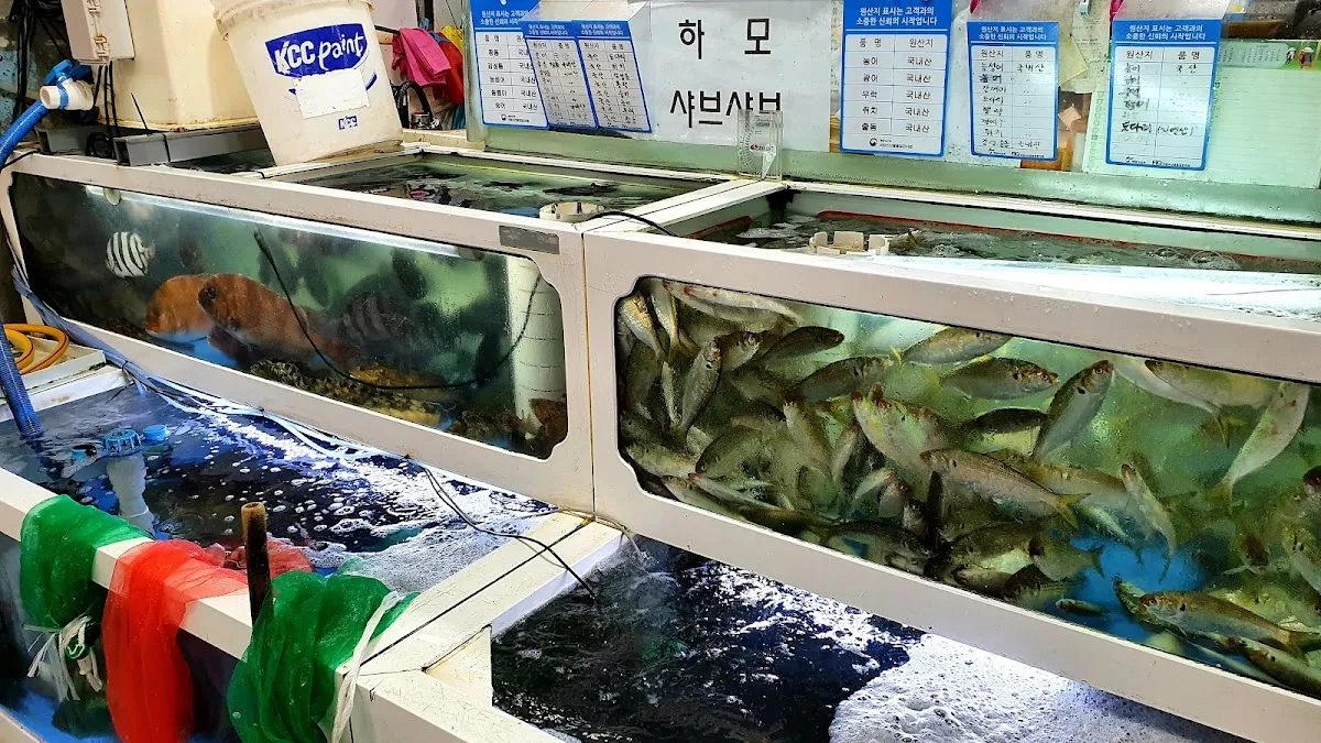 중마시장 사진 4