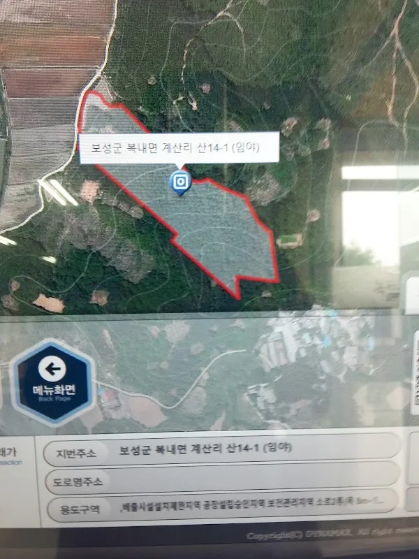 복내5일시장 사진 3