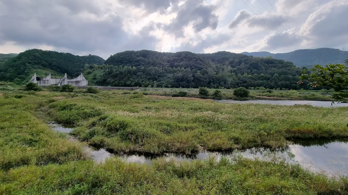 주암시장 사진 3